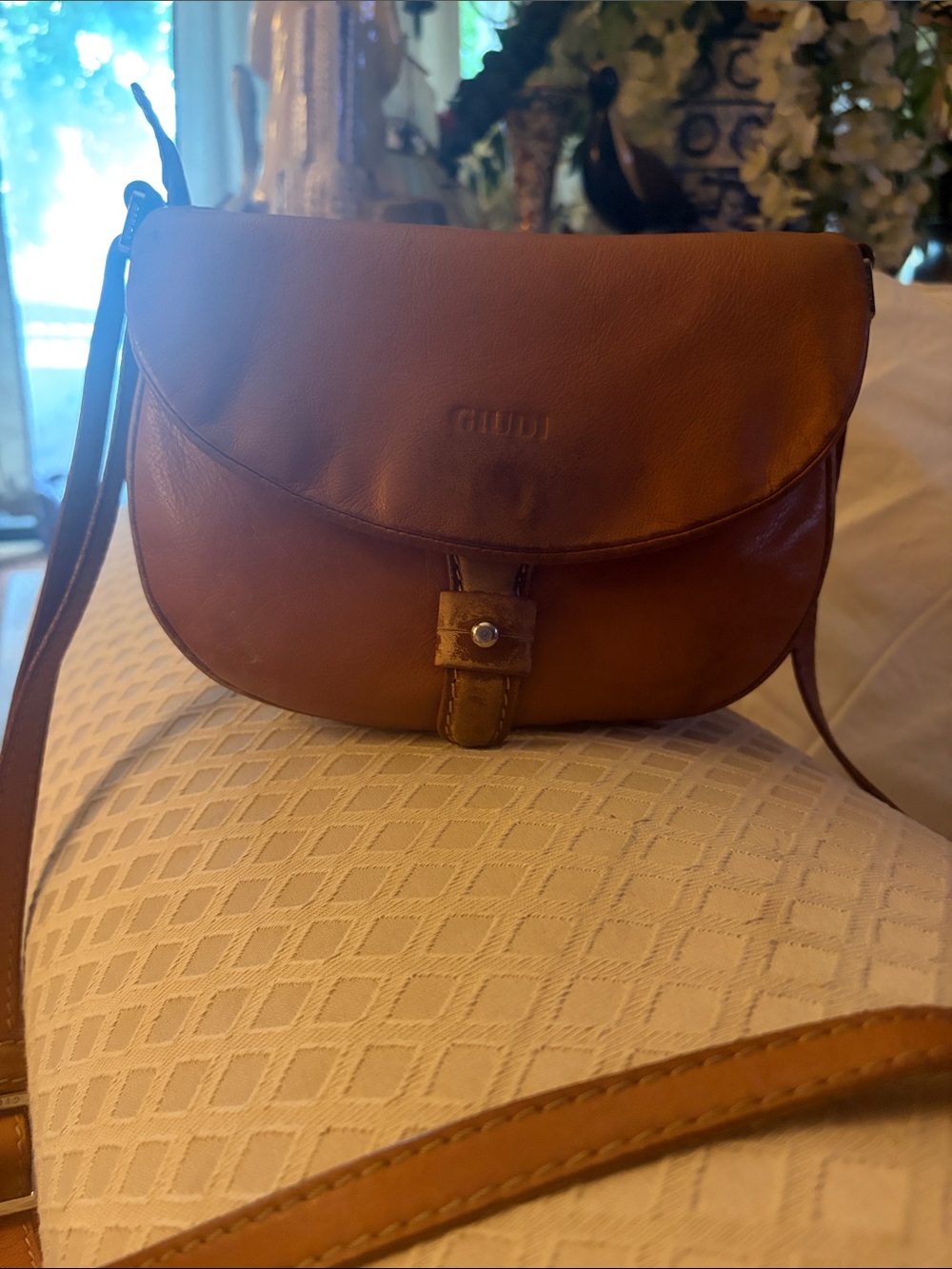 Gaudi' Brown Leather Crossbody Saddle Bag